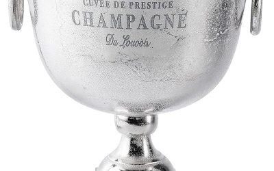 Avis sur le refroidisseur à champagne MichaelNoll en aluminium argenté