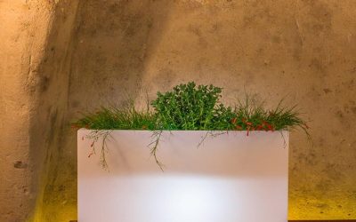 Avis : vase lumineux Decorspace FlowerPot Bright, élégance et lumière