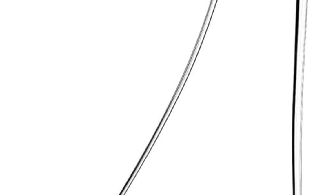 Avis sur la carafe à décanter Horse de RIEDEL