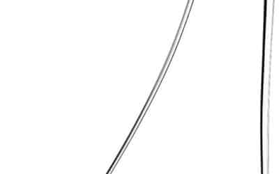 Avis sur la carafe à décanter Horse de RIEDEL