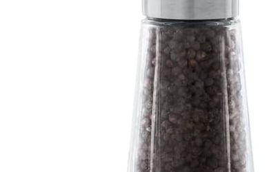 Test du moulin à poivre Rosendahl Grand Cru 20.5 cm noir