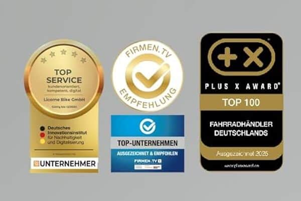 Découvrez notre avis complet sur le vélo pliant licorne Bike Fold premium : performance, confort et praticité à 6 vitesses pour les cyclistes urbains.