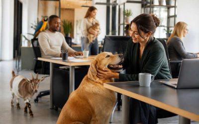 Les animaux au bureau : bonne idée ou mauvais plan ?