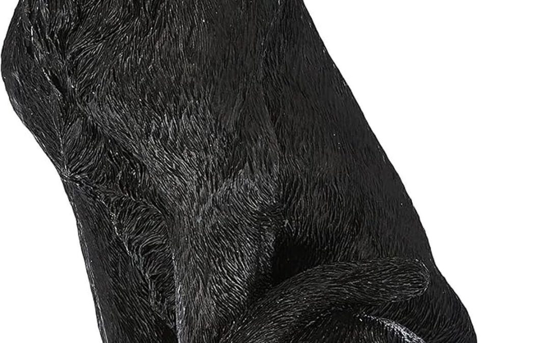Avis sur la sculpture murale panthère noire de Design Toscano