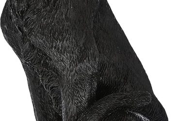 Avis sur la sculpture murale panthère noire de Design Toscano